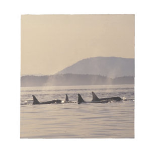 Bloc-note N.A., États-Unis, Washington, Îles San Juan Orque
