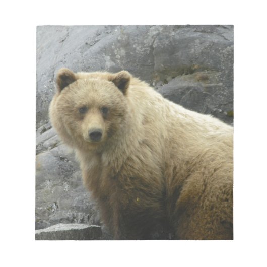 Bloc-note Nature de destin d'animaux de l'Alaska d'ours (Devant)