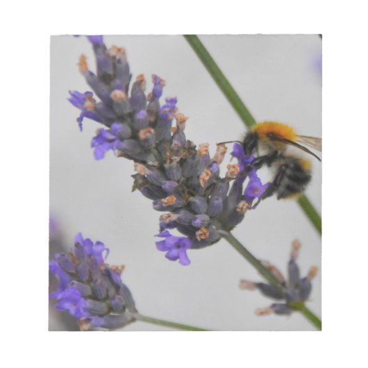 Bloc-note Natures de merveilleux travailleurs (Devant)