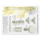 Bloc-note Nerfs épineux Subluxes Tear Off Pads (Devant)