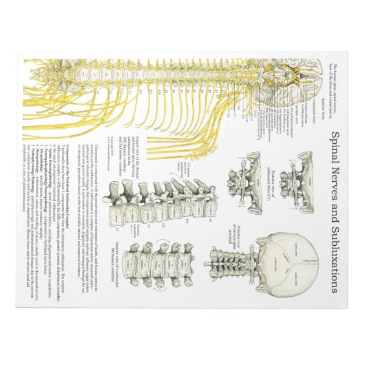 Bloc-note Nerfs épineux Subluxes Tear Off Pads (Devant)