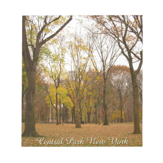 Bloc-note New York Souvenir Notepad Central Park NYC Cadeau (Devant)