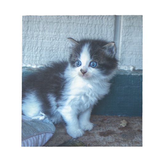 Bloc-note Noir + Kitten blanc (Devant)