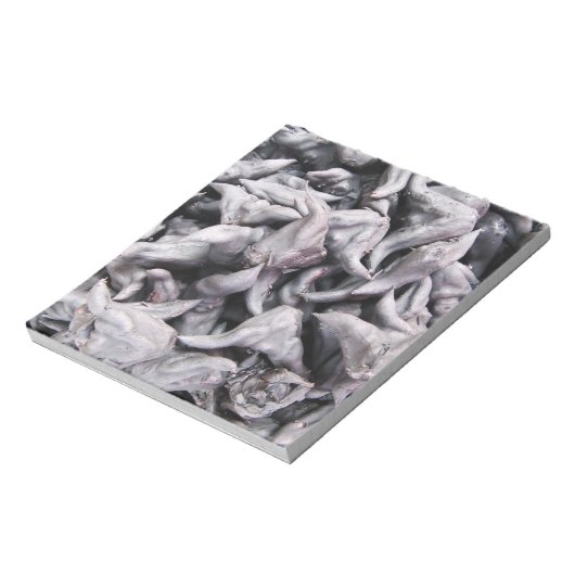 Bloc-note Noix de buffle - Water Caltrop (Tourné)