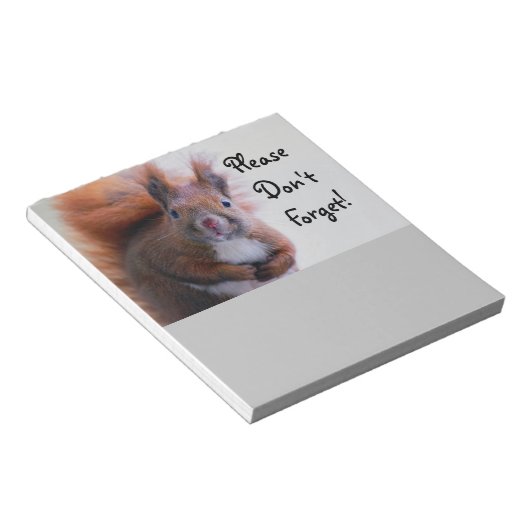 Bloc-note N'oublie pas l'écureuil (Incliné)
