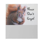 Bloc-note N'oublie pas l'écureuil (Devant)