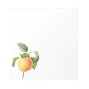 Bloc-note Nourriture de fruits anciens, pomme Calville par R