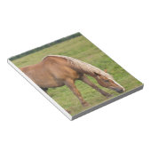 Bloc-note Nouveau-Brunswick, Canada. Cheval dans un champ. (Incliné)