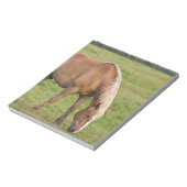 Bloc-note Nouveau-Brunswick, Canada. Cheval dans un champ. (Tourné)