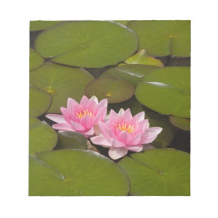 Bloc-note Nymphéas en fleurs