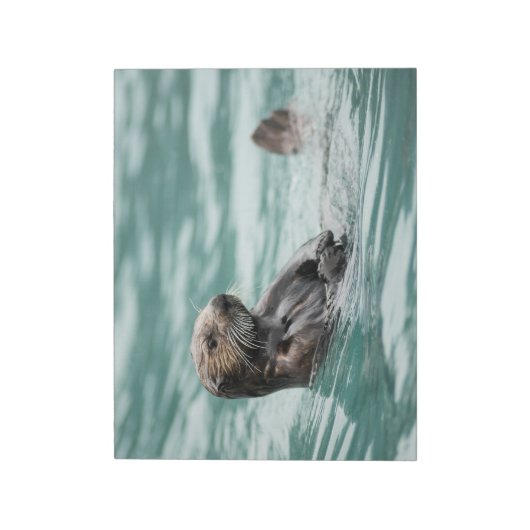 Bloc-note Observation de la Loupe de mer (Tourné)