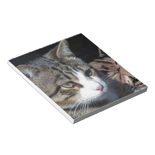 Bloc-note Observation des oiseaux (Incliné)