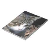 Bloc-note Observation des oiseaux (Tourné)