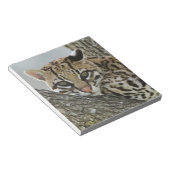 Bloc-note Ocelot, Felis pardalis, captif, femelle au repos 2 (Incliné)