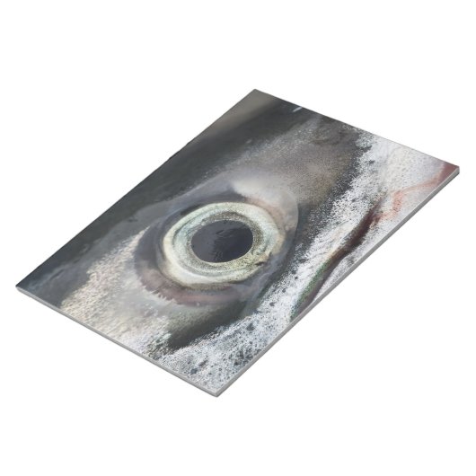 Bloc-note Oeil saumon (Incliné)