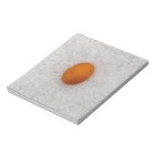 Bloc-note Oeuf au sel (Tourné)