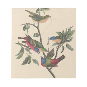 Bloc-note Oeuvre d'art vintage d'oiseau coloré de Audubon su