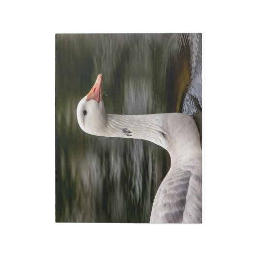 Bloc-note Oie canadienne leuciste (Tourné)