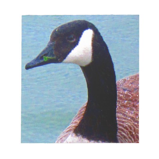 Bloc-note Oie canadienne sauvage (Devant)
