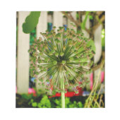 Bloc-note Oignon ornemental (Devant)