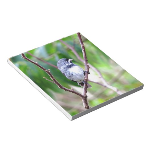 Bloc-note Oiseau bleu (Incliné)