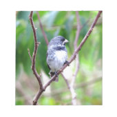 Bloc-note Oiseau bleu (Devant)