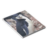 Bloc-note Oiseau de pingouin mignon animal noir eau blanche (Incliné)