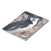 Bloc-note Oiseau de pingouin mignon animal noir eau blanche (Tourné)