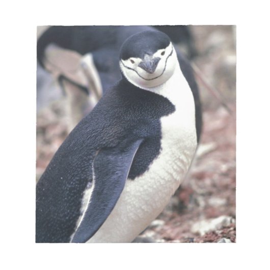 Bloc-note Oiseau de pingouin mignon animal noir eau blanche (Devant)