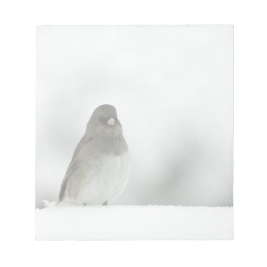 Bloc-note Oiseau d'hiver (Devant)