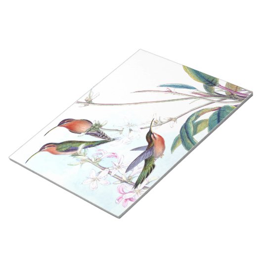 Bloc-note Oiseaux de colibri Fleur Flore Faune (Incliné)