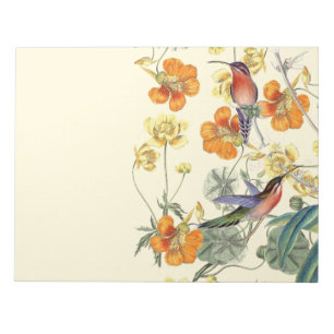 Bloc-note Oiseaux de colibri Fleurs Flore Faune
