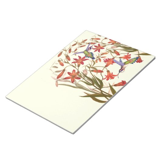 Bloc-note Oiseaux de colibri Fleurs Flore Faune (Incliné)