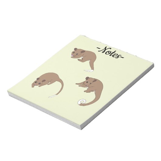 Bloc-note Opossums à queue annelée (Tourné)