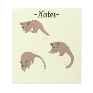 Bloc-note Opossums à queue annelée