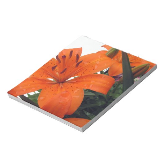 Bloc-note Orange (Tourné)