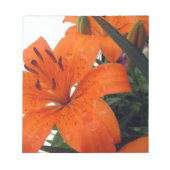Bloc-note Orange (Devant)