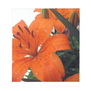 Bloc-note Orange