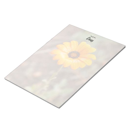 Bloc-note Orange Spring Flash African Daisy Close Up Photo (Incliné)
