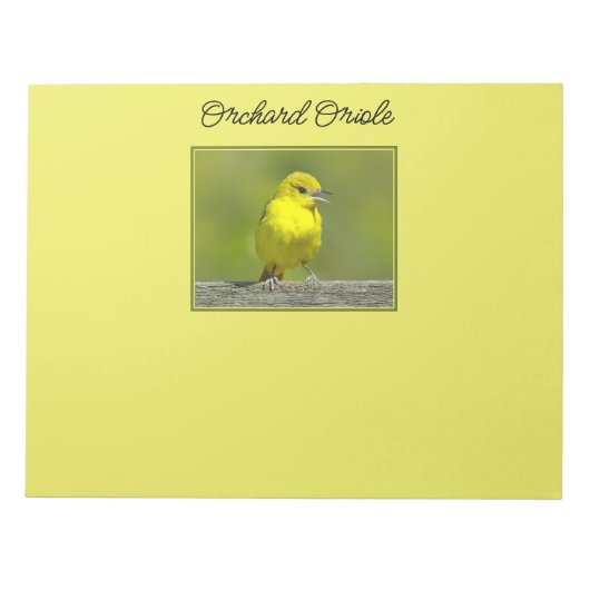 Bloc-note Orchard Oriole - Photo originale (Devant)