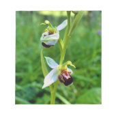 Bloc-note Orchidée (Devant)