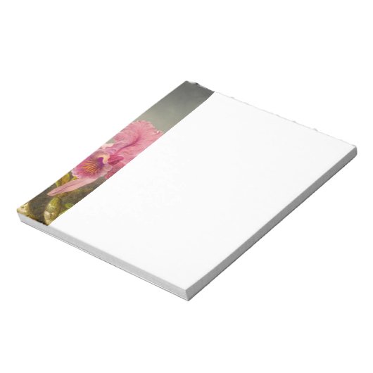 Bloc-note Orchidée avec deux colibris Heade (Tourné)