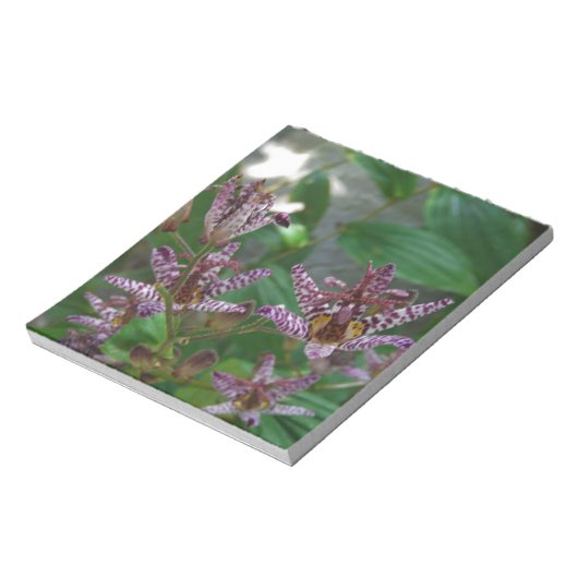 Bloc-note Orchidée blanche rayée violette rose comme lys de  (Tourné)