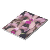 Bloc-note Orchidée (Cattleya amethystoglossa), Est (Tourné)