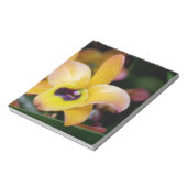 Bloc-note Orchidée du coucher de soleil (Tourné)