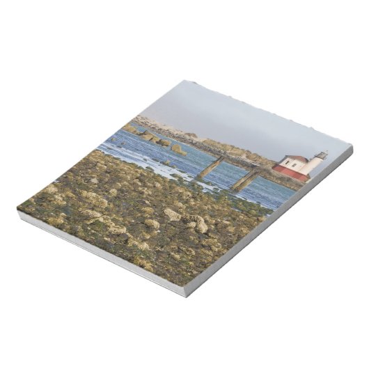 Bloc-note OU, Côte de l'Oregon, Bandon, rivière Coquille (Tourné)