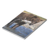 Bloc-note ours Brown, grizzli, avec prises saumons, (Tourné)