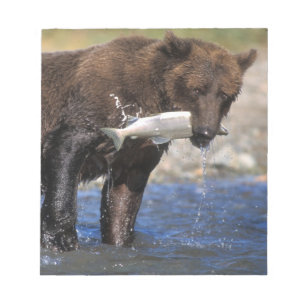 Bloc-note ours Brown, grizzli, avec prises saumons,