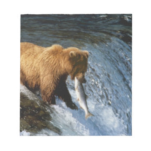 Bloc-note Ours brun d'Alaska attrapant un saumon à Brooks