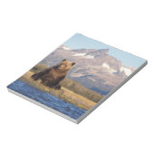 Bloc-note ours brun, Ursus arctos, grizzly, Ursus (Tourné)